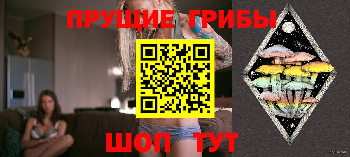 Псилоцибиновые грибы Psilocybe Донской